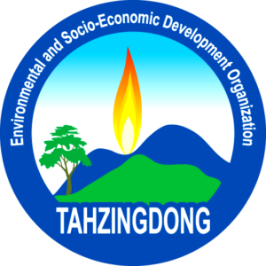 Tah Zing Dong Logo-b